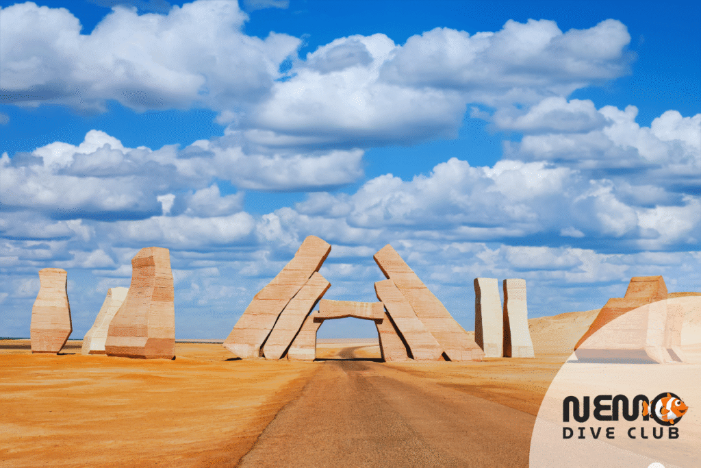 Basic diver in ras mohamed