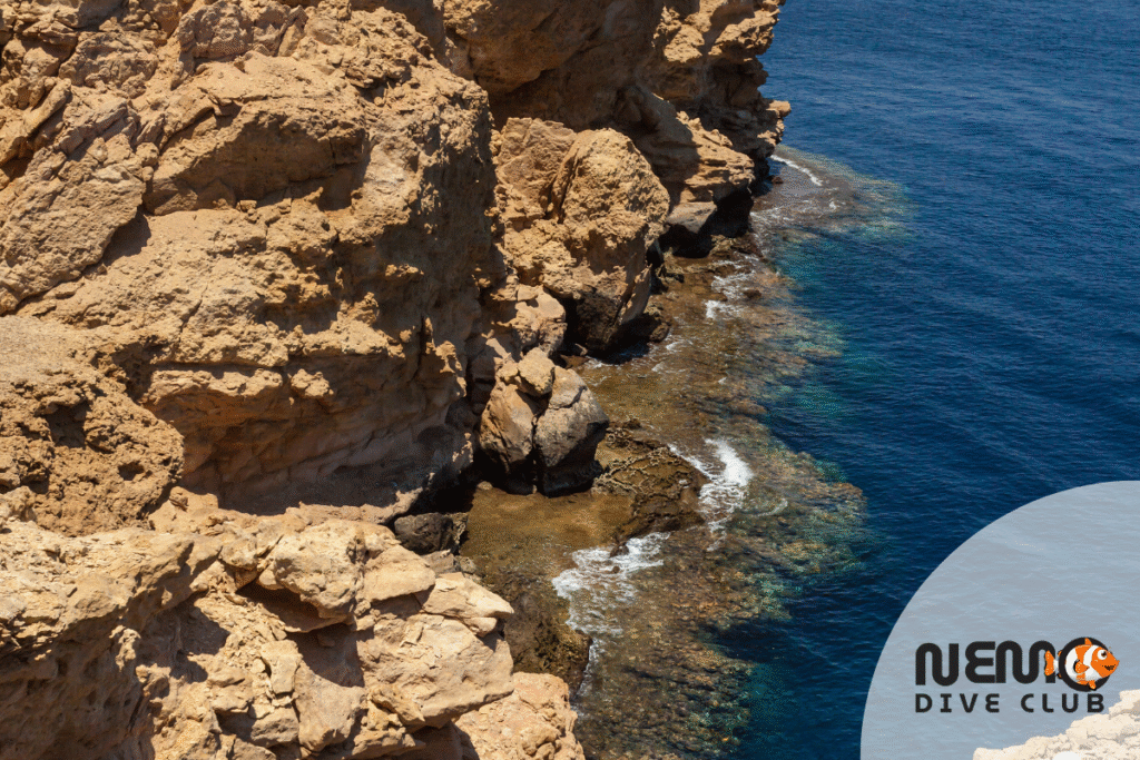 Ras Mohaed Nemo Dive club