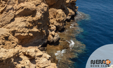 Ras Mohaed Nemo Dive club