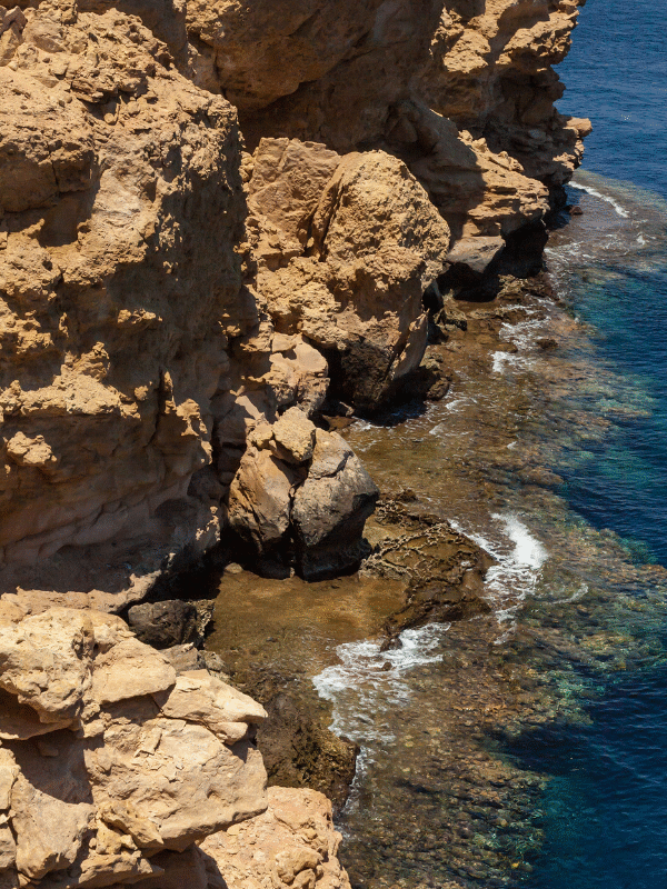 Ras Mohaed Nemo Dive club