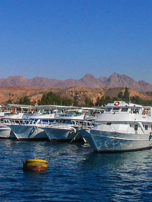 Dive and dive with In nemo Dive Club