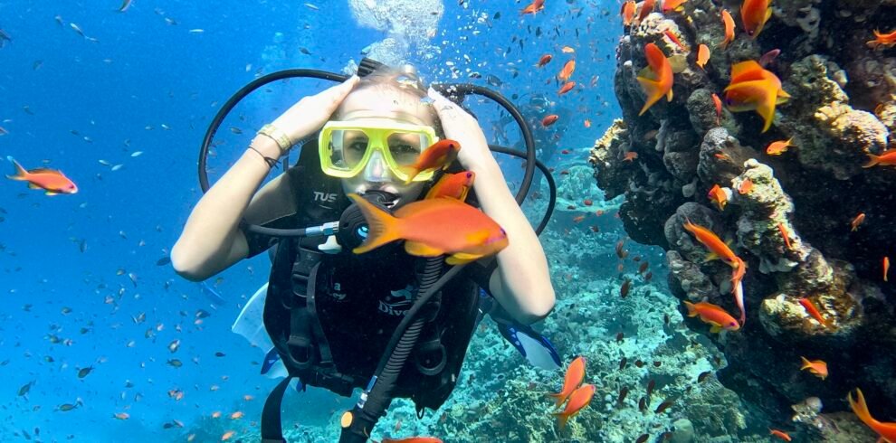 Best place to dive sharm with best diver in sharm