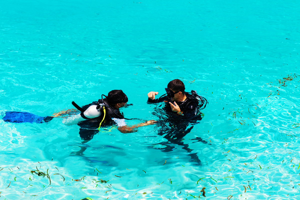 Intro Dive for Beginners (3)