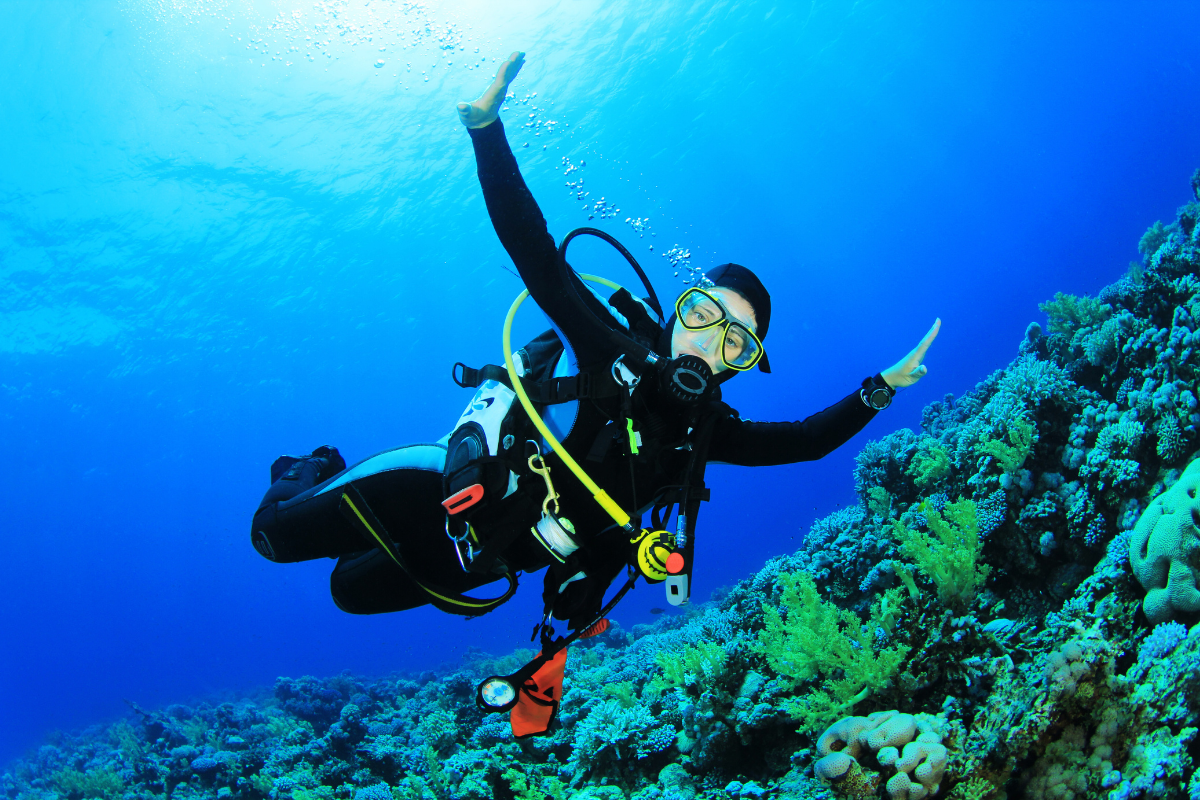 Intro Dive for Beginners (4)