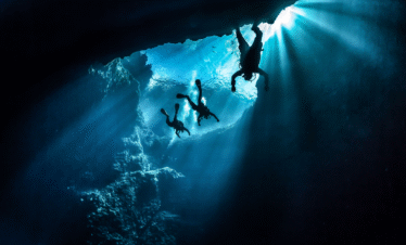 Night Diving Adventure (2)