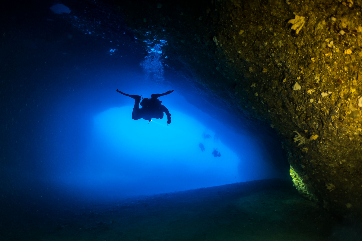 Night Diving Adventure (3)