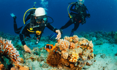 PADI Discover Scuba Diving (3)