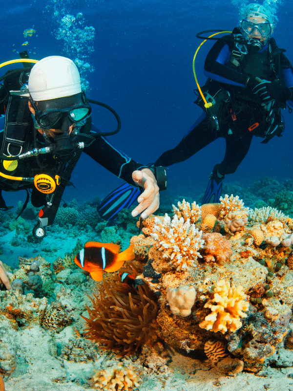 PADI Discover Scuba Diving (3)