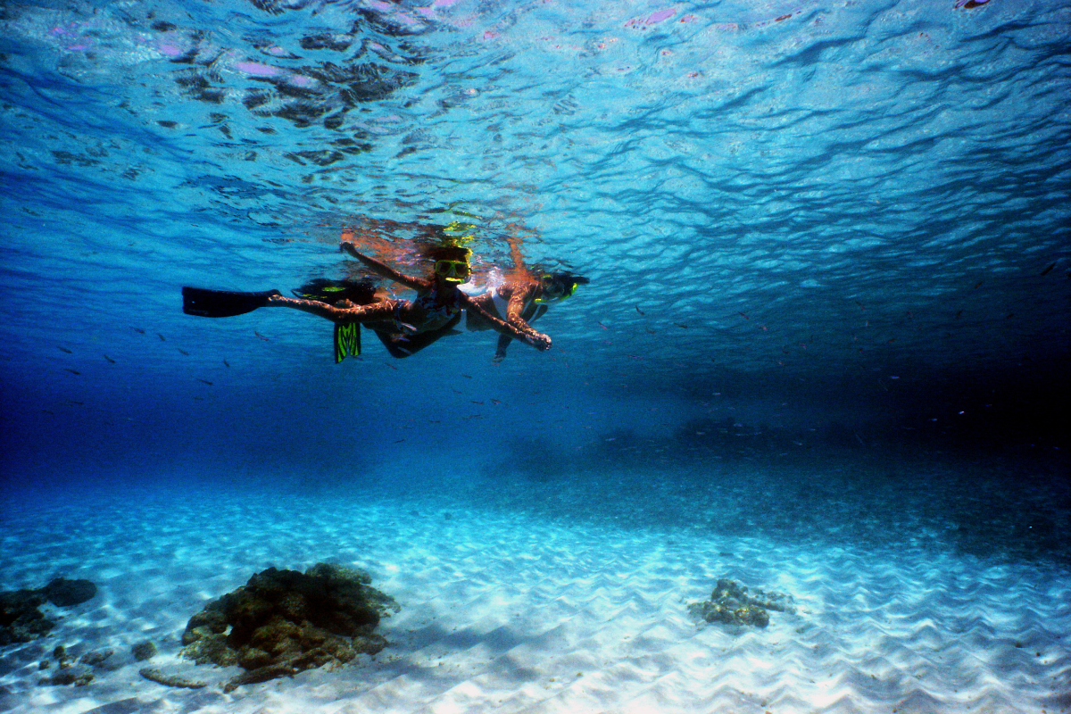 Snorkeling Adventure Trip (4)