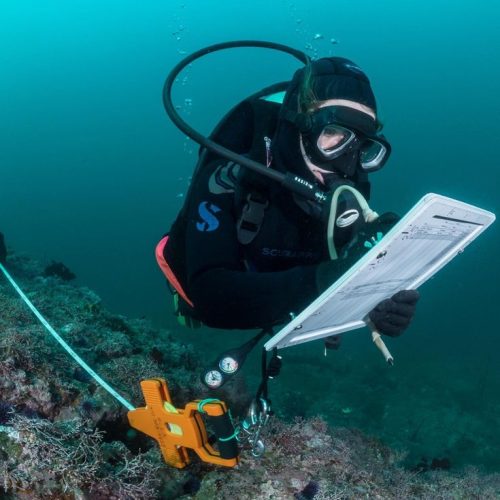 Community Comes Together to Assess Orange County Oil Spill Impact - Reef Check