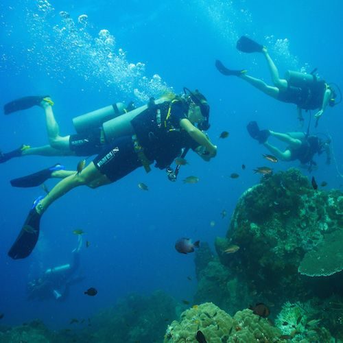 Crystal Dive Koh Tao _ Learn to Dive _ Beachfront Resort