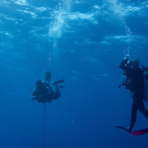Guía para bucear en Belice_ una joya submarina protegida por la Unesco - TrotandoMundos