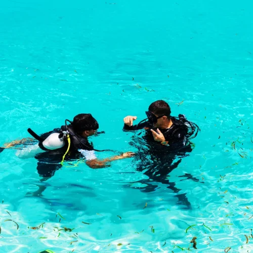 Intro-Dive-for-Beginners-3
