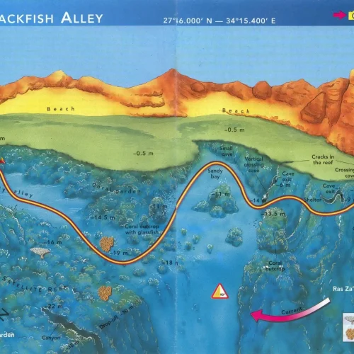 Jackfish Alley
