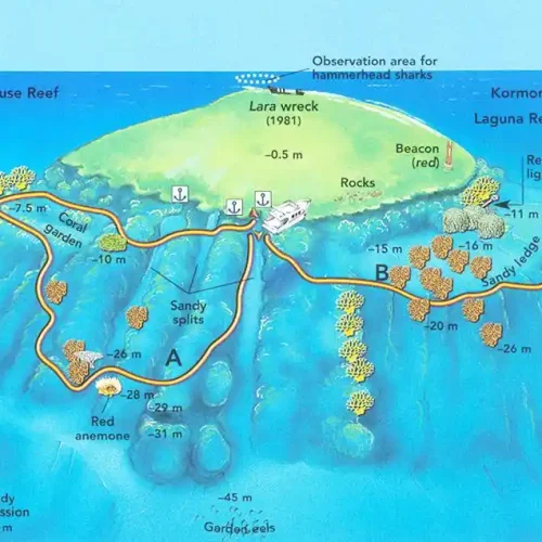 Jackson Reef
