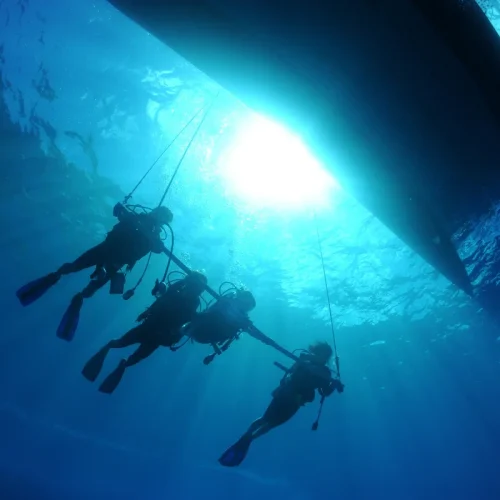 Night-Diving-Adventure-6