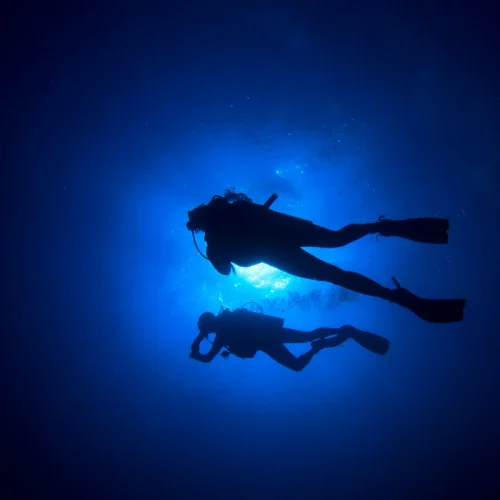 Night-Diving-Adventure