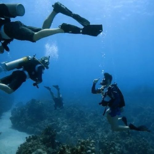 PADI Helps Veterans Across The World Through Diving