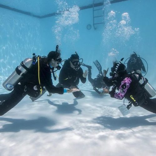 PADI Refresher Course - January 23rd - 10am