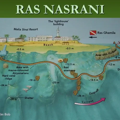 Ras Nasrani