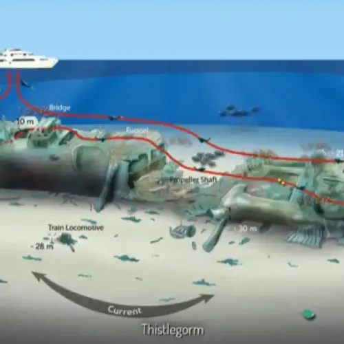 SS Thistlegorm