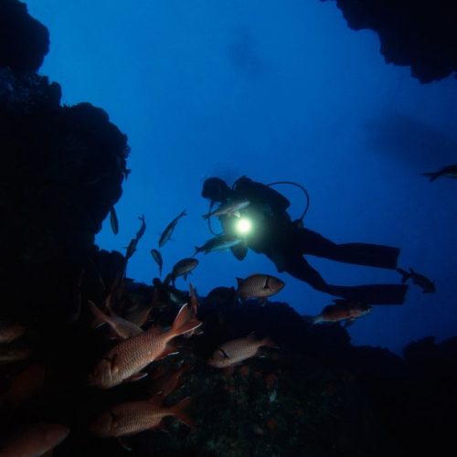Scuba Diving Checklist_ What to Bring on a Night Dive • Scuba Diver Life