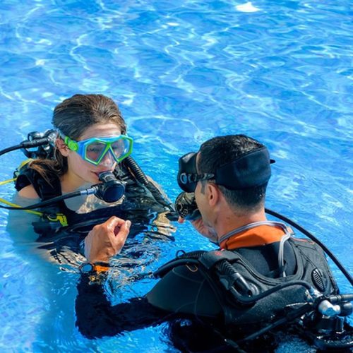 Scuba Diving for Beginner