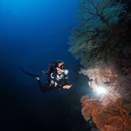 Tell us, are you a fan (no pun intended) of night diving too_ 🌚🙌🏼 📷 IG 'julia_waterchild'