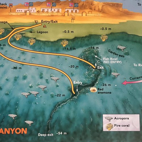 The Canyon