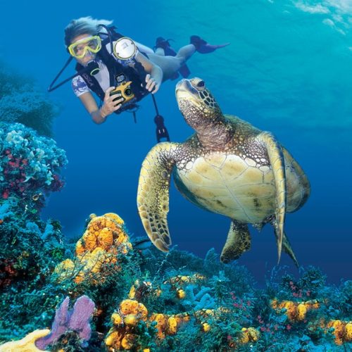 Underwater camera and photography absolutely a dream job!
